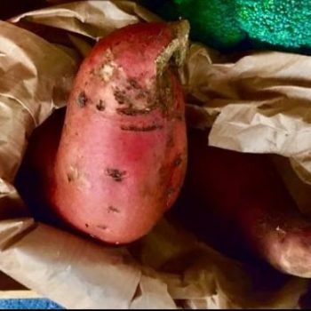 Batata